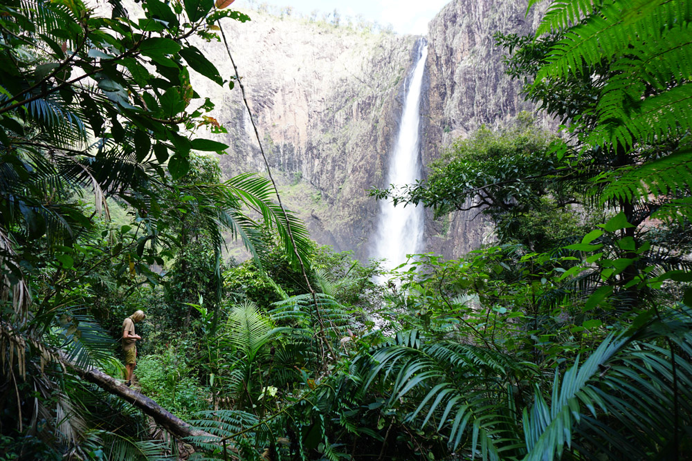 Wallaman Falls