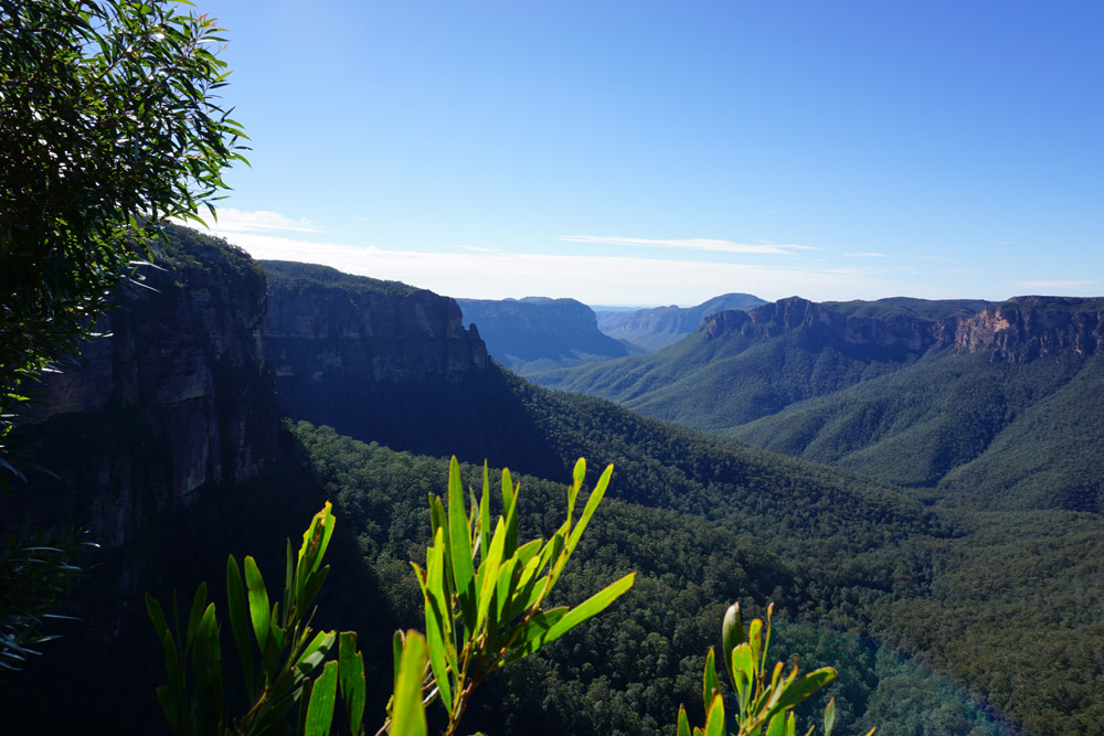 Blue Mountains Blackheath