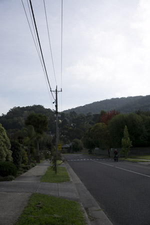 Dandenong Hills