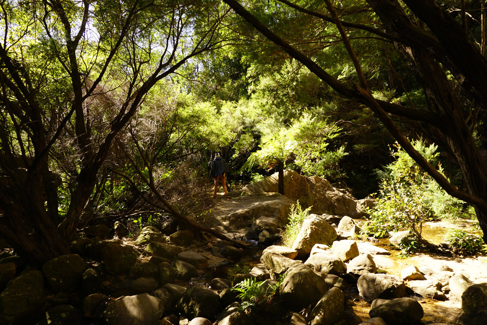 Blue Mountains hike