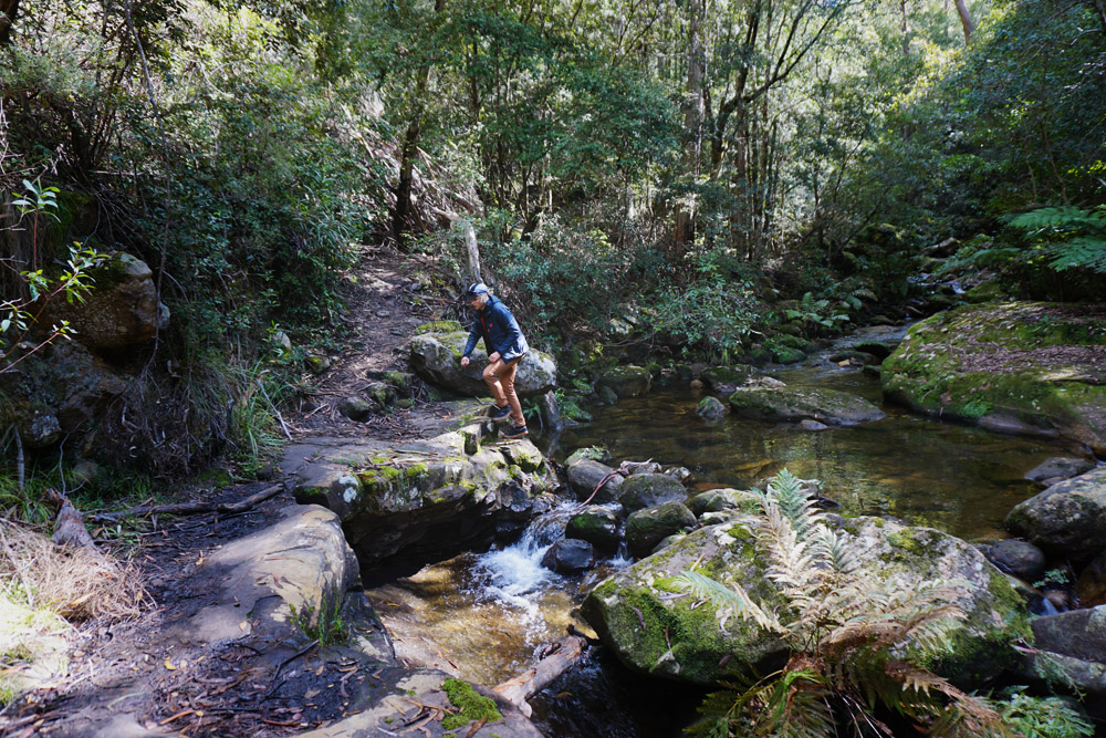 Blue Mountains hike