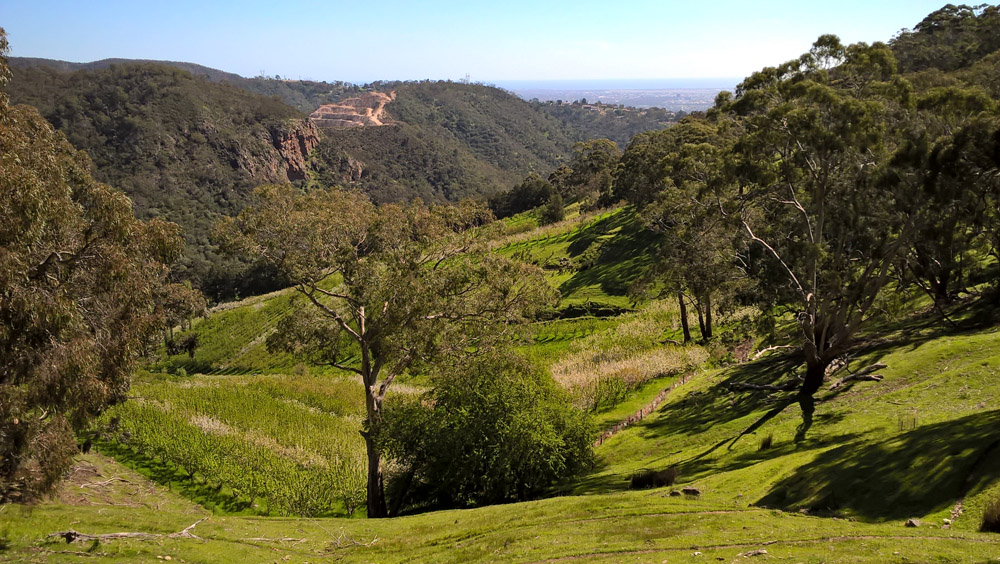 Mountains in Adelaide