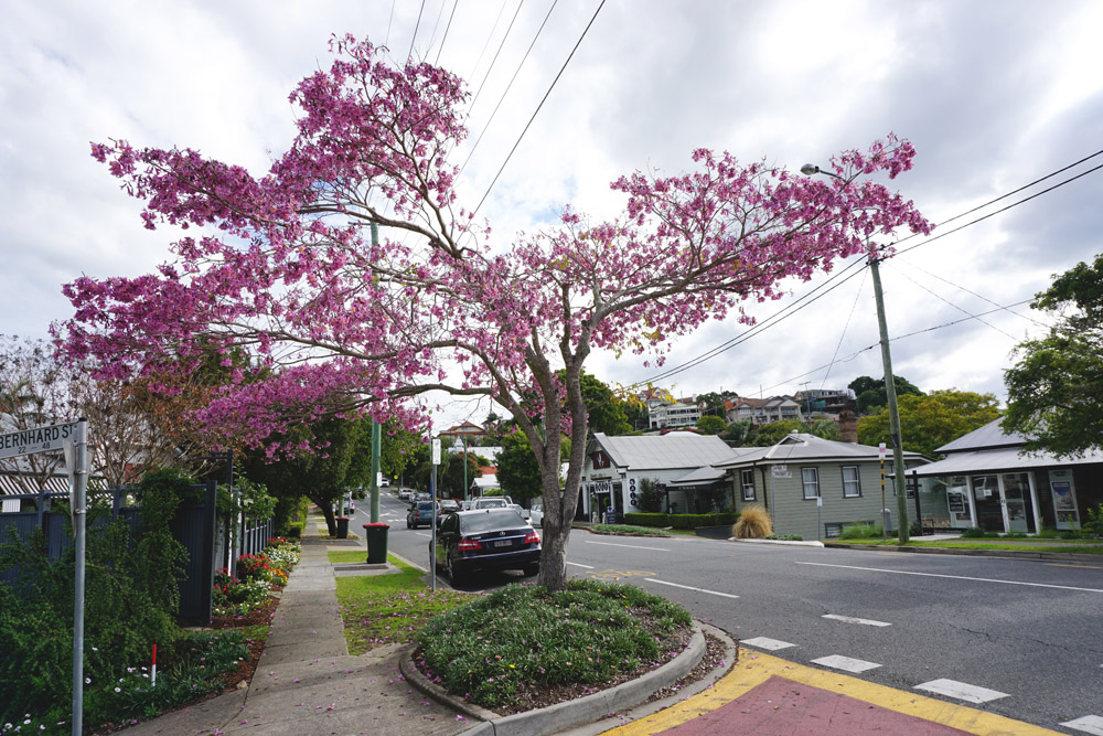 Latrobe Terrace