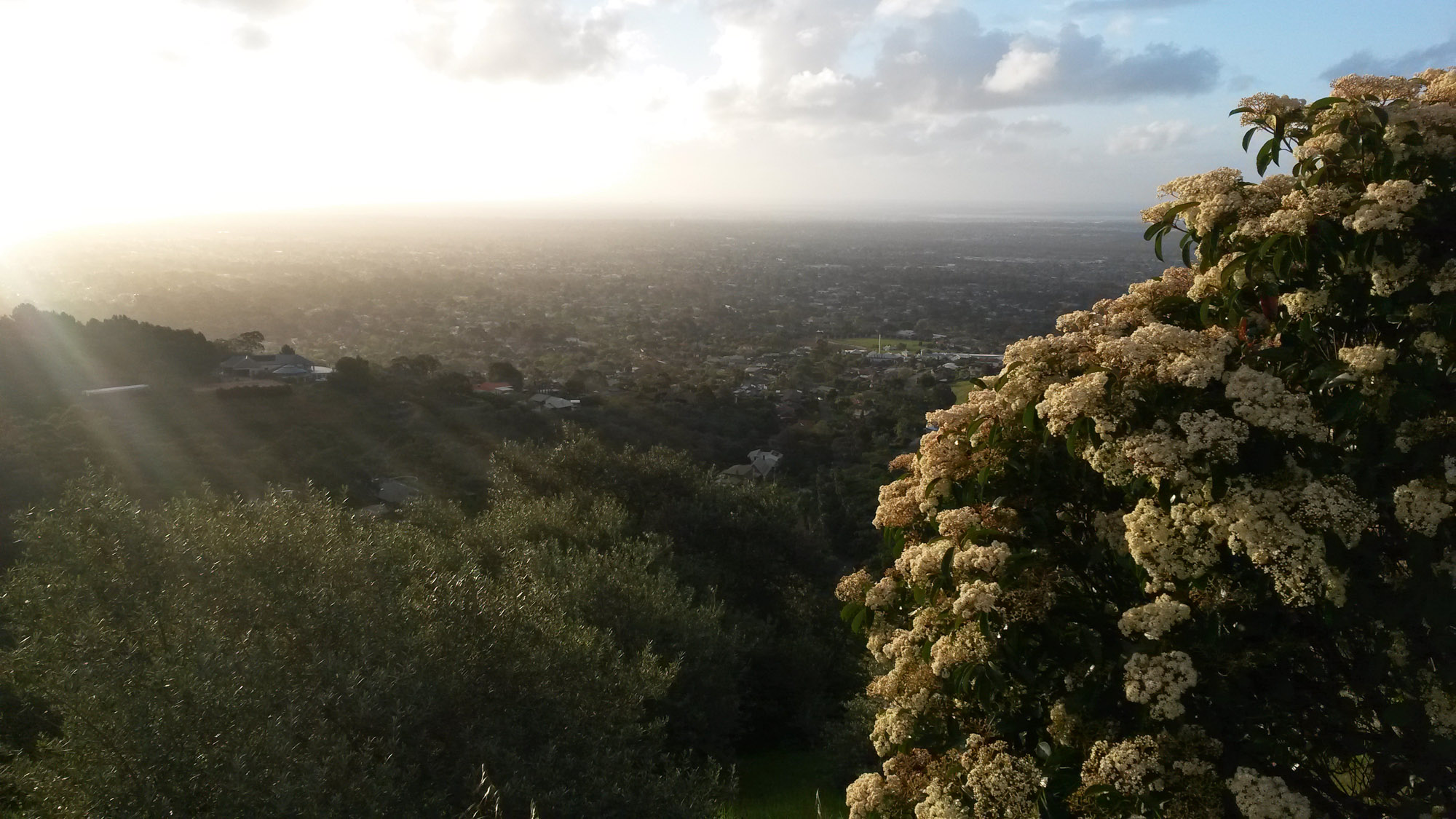 Adelaide Hills I